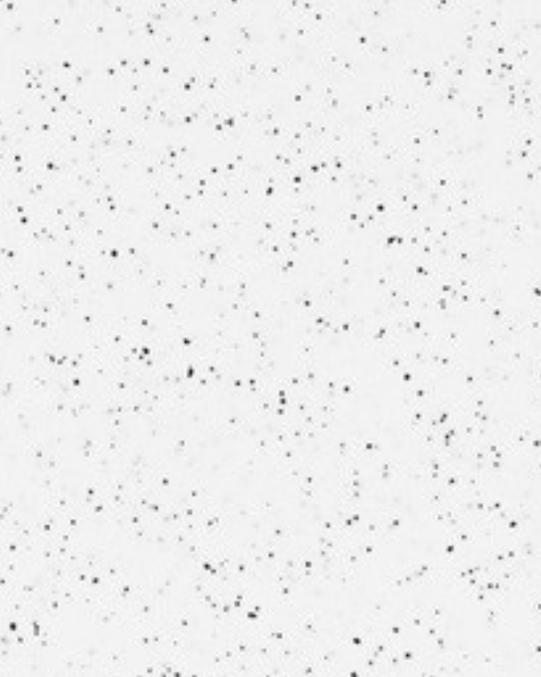 Storico 800x2400x15mm Catalog.pdf.pdf 1